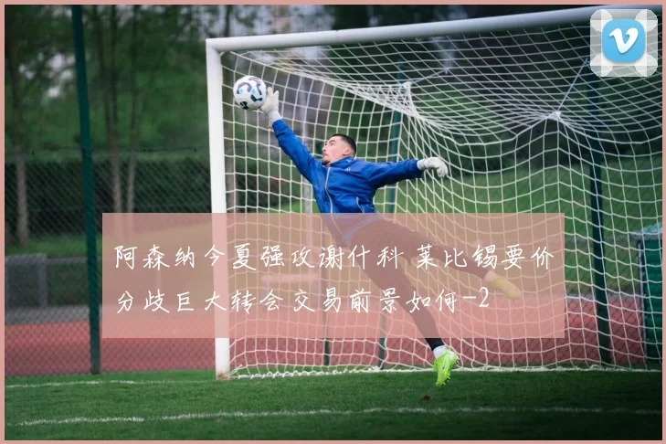 阿森纳今夏强攻谢什科 莱比锡要价分歧巨大转会交易前景如何
