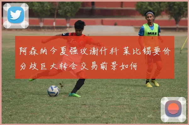 阿森纳今夏强攻谢什科 莱比锡要价分歧巨大转会交易前景如何