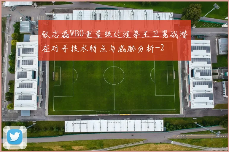 张志磊WBO重量级过渡拳王卫冕战潜在对手技术特点与威胁分析