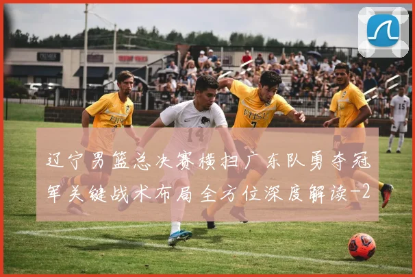 辽宁男篮总决赛横扫广东队勇夺冠军关键战术布局全方位深度解读